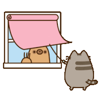 Pusheen CA Decor
